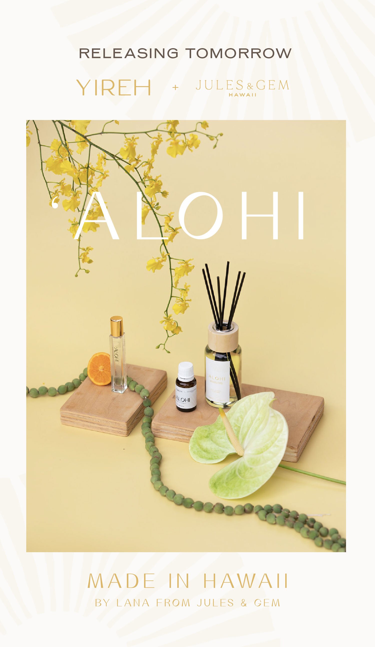 alohi-tomorrow.jpg
