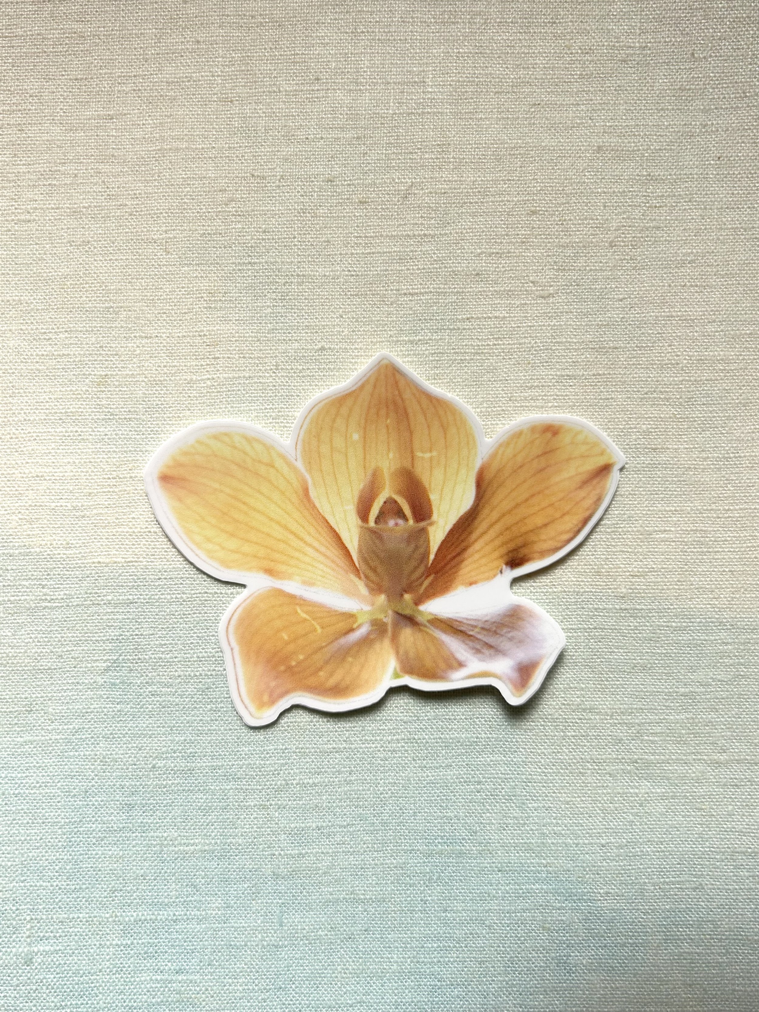 Sunny Orchid