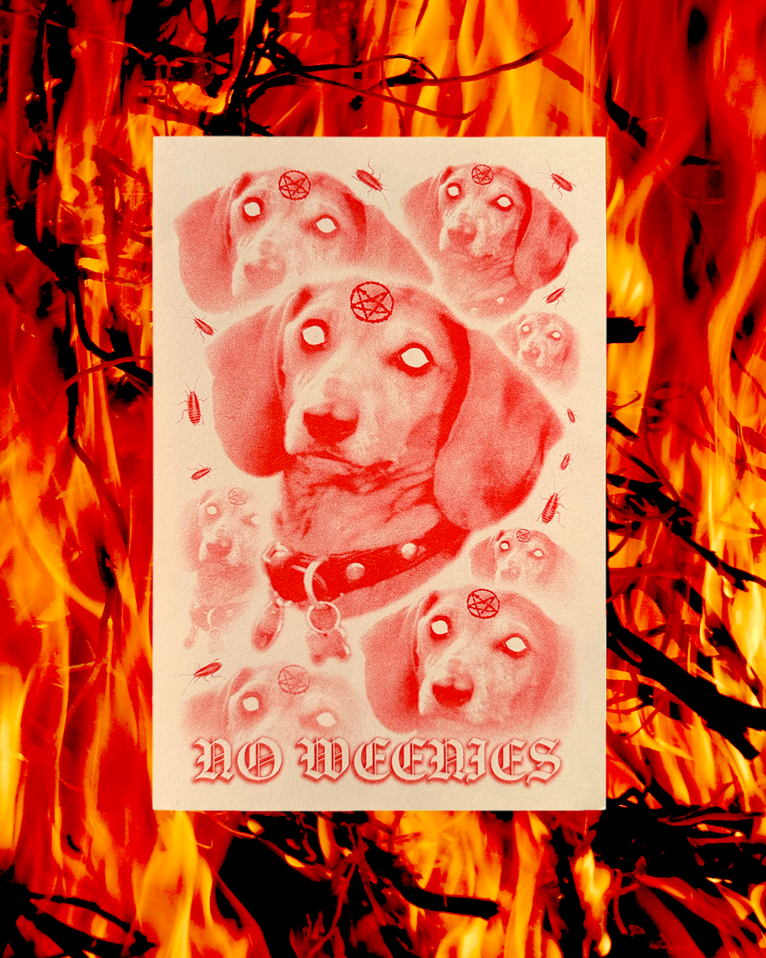 NO WEENIES.png