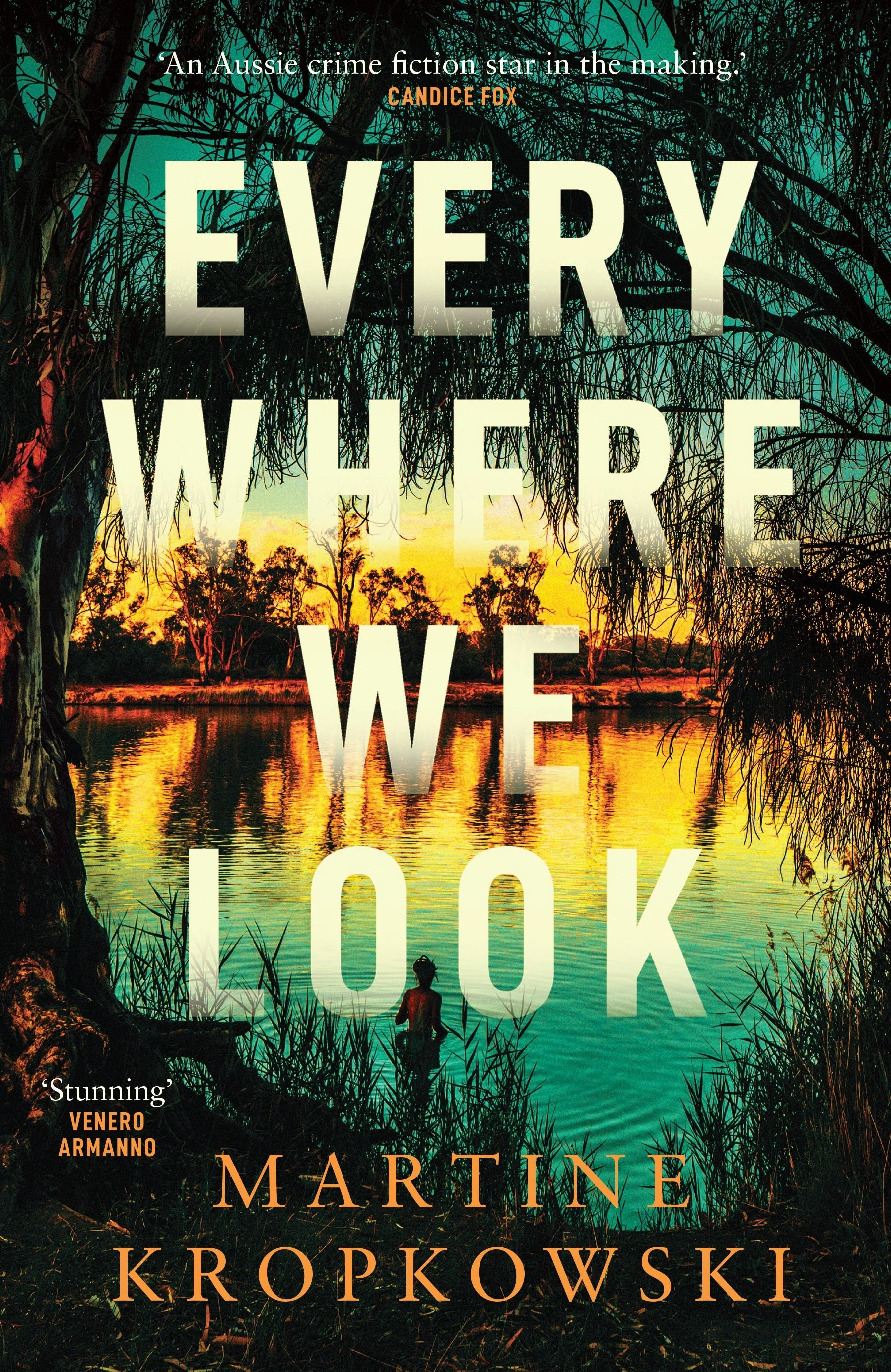 Book Review: Everywhere We Look by Martine Kropkowski 