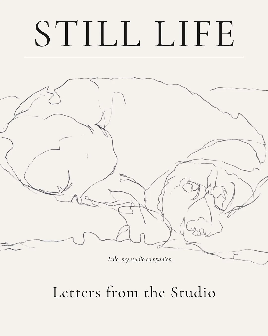 Still Life &mdash;

A monthly newsletter from the studio on memory and making. 

The first issue is live. Subscribe via the link in bio. 📨

#stilllifenewsletter
#creativepractice