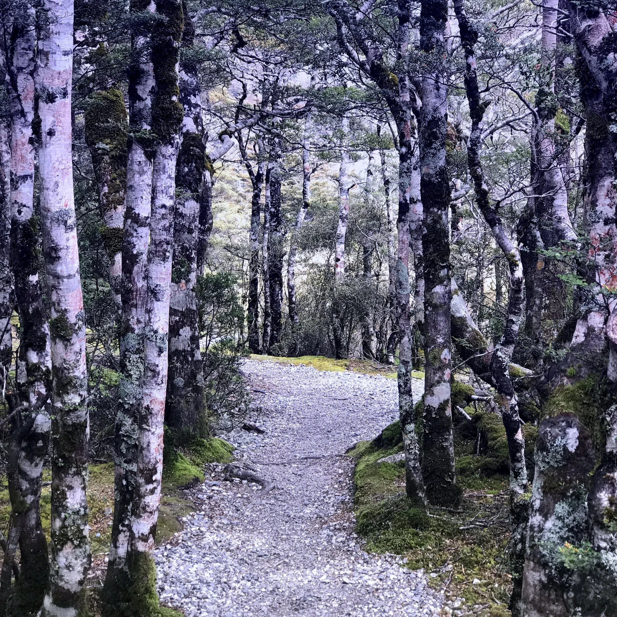 Permission to Disappear