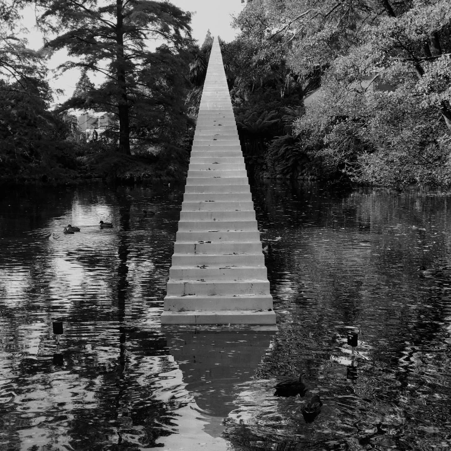 My November newsletter is out - an outline  for resting and disappearing into other worlds. 

This year I&rsquo;m building a library wish list rather than a shopping list, and beginning my summer reading early.

Link in bio 😊