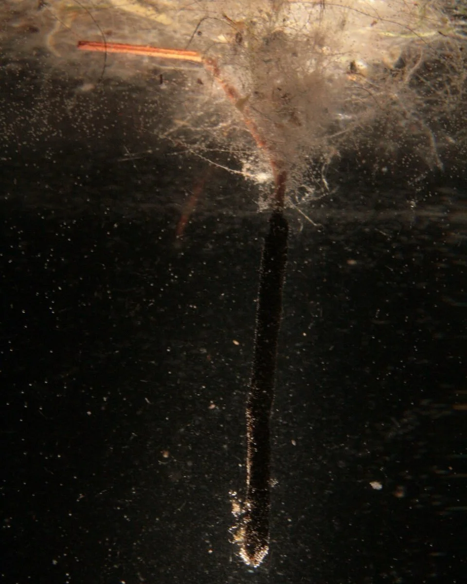 This month I&rsquo;ve been in discovery mode. It&rsquo;s all part of the process. 

New essay is on my website.

Link in bio.