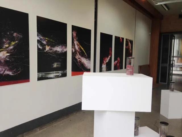 Dust Devil. Installation view, g_space gallery, Whakatū Nelson. 2016.