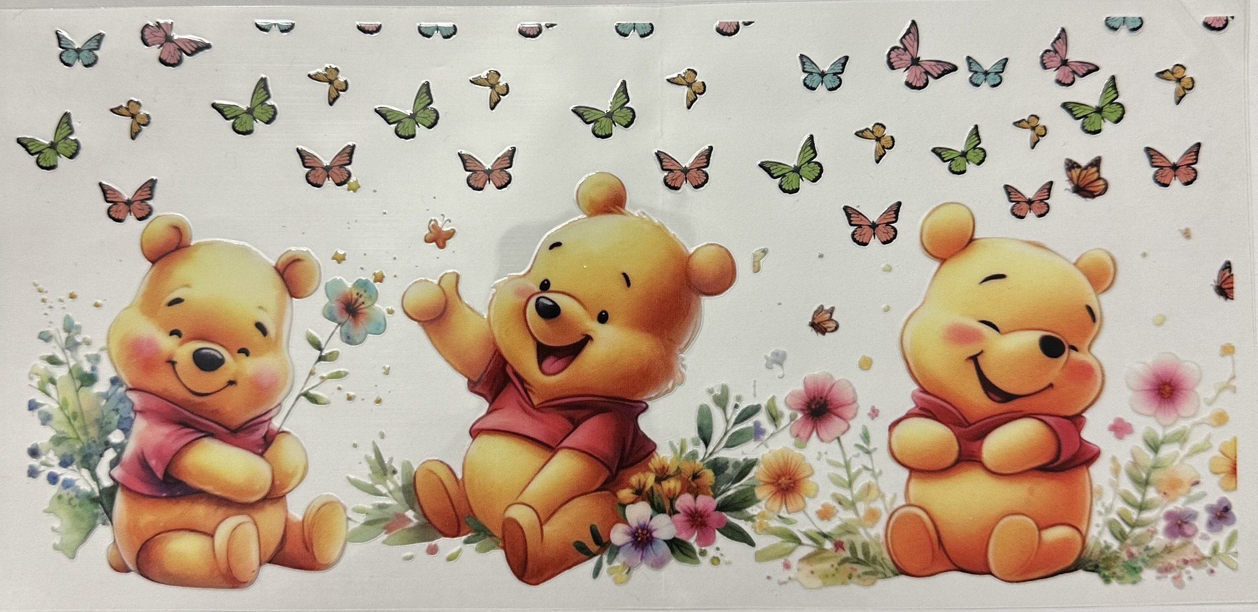 DS Baby Pooh Butterflies Flowers