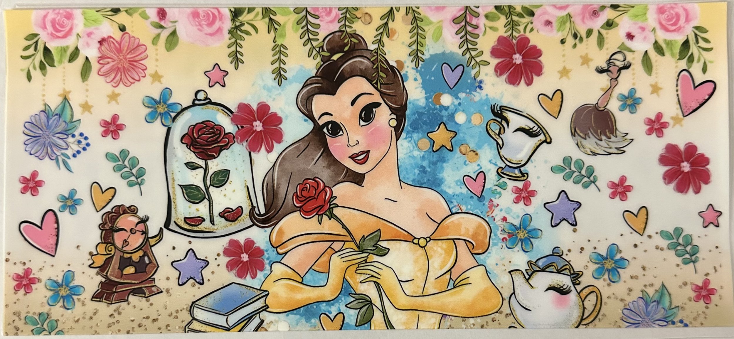 DS Belle