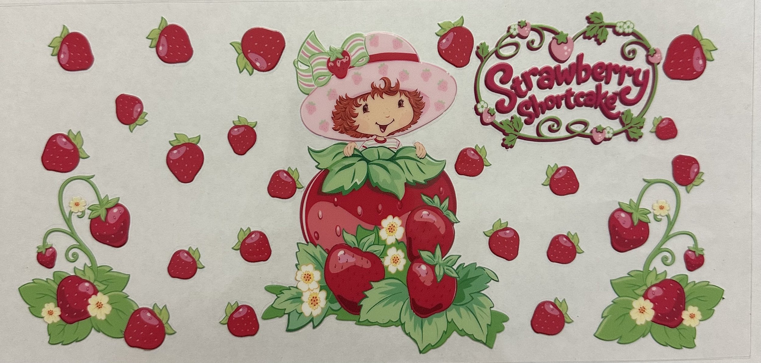 DS Strawberry Shortcake Strawberry Patch