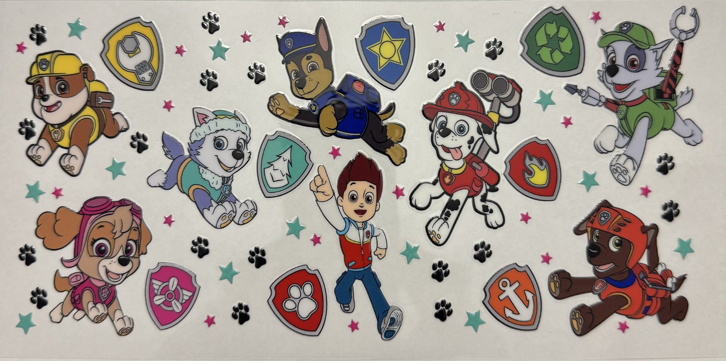 DS Paw Patrol Minis Shield