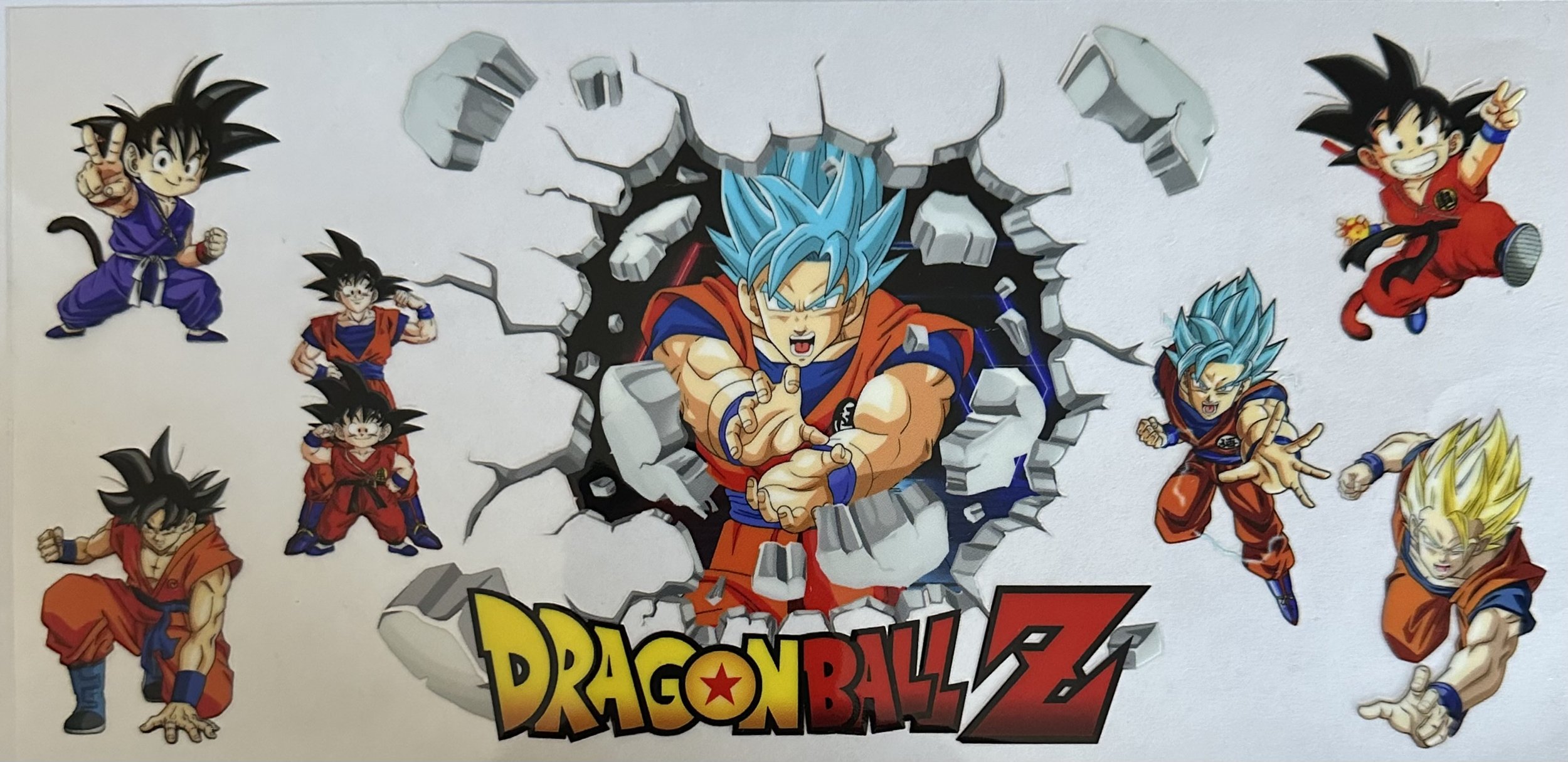 DS DragonBallz
