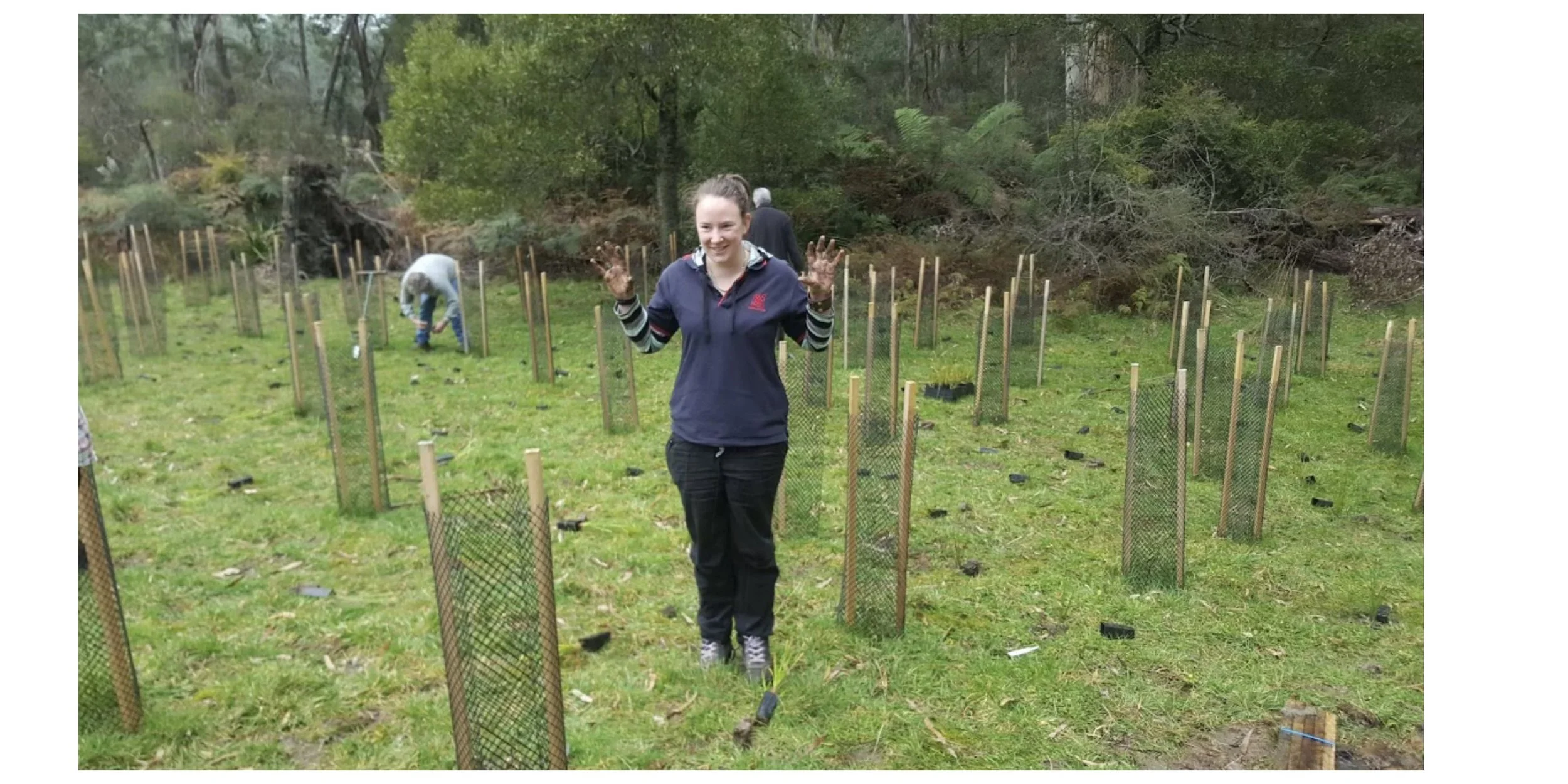 Community Planting Day