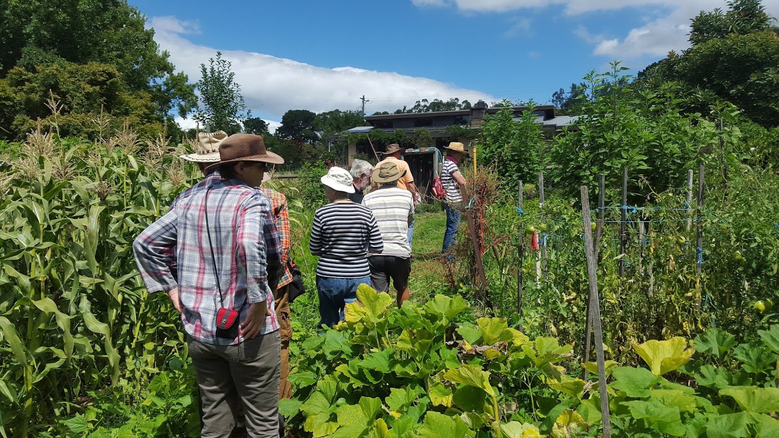 No-dig gardening and AGM