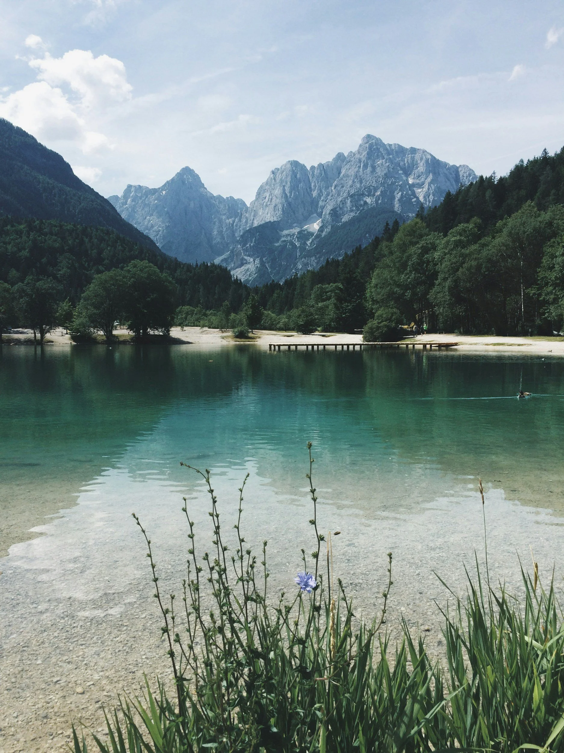 Scenic view of a mountain lake with green forested hills, rocky mountain peaks in the background, a sandy shore, and a small dock, with some flowers and grass in the foreground.