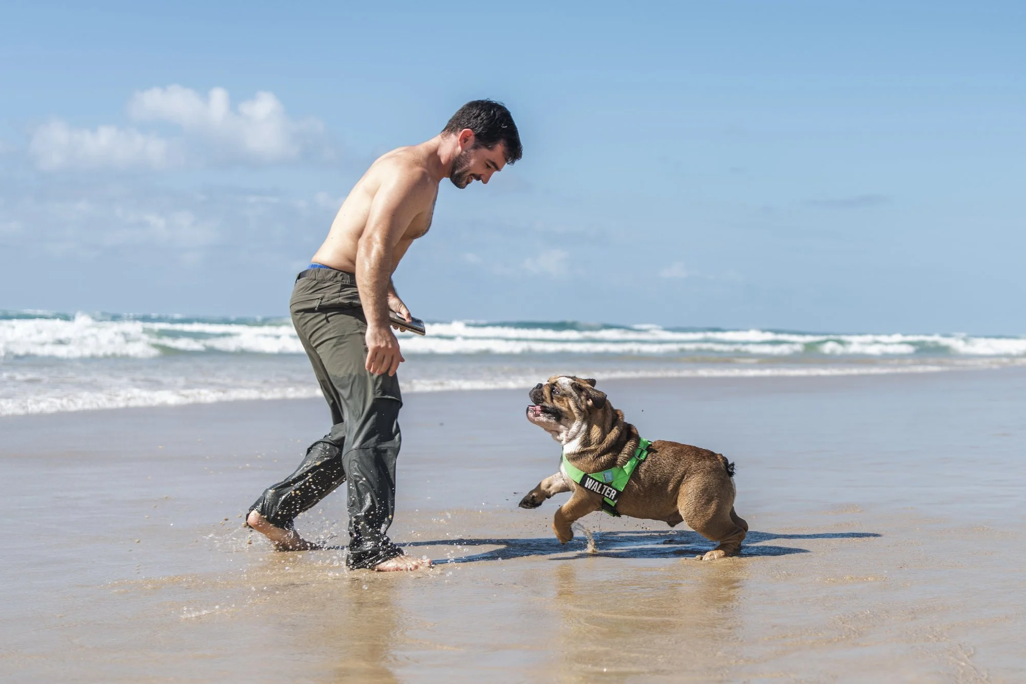 Gold Coast pet photography - frivolous or necessary?