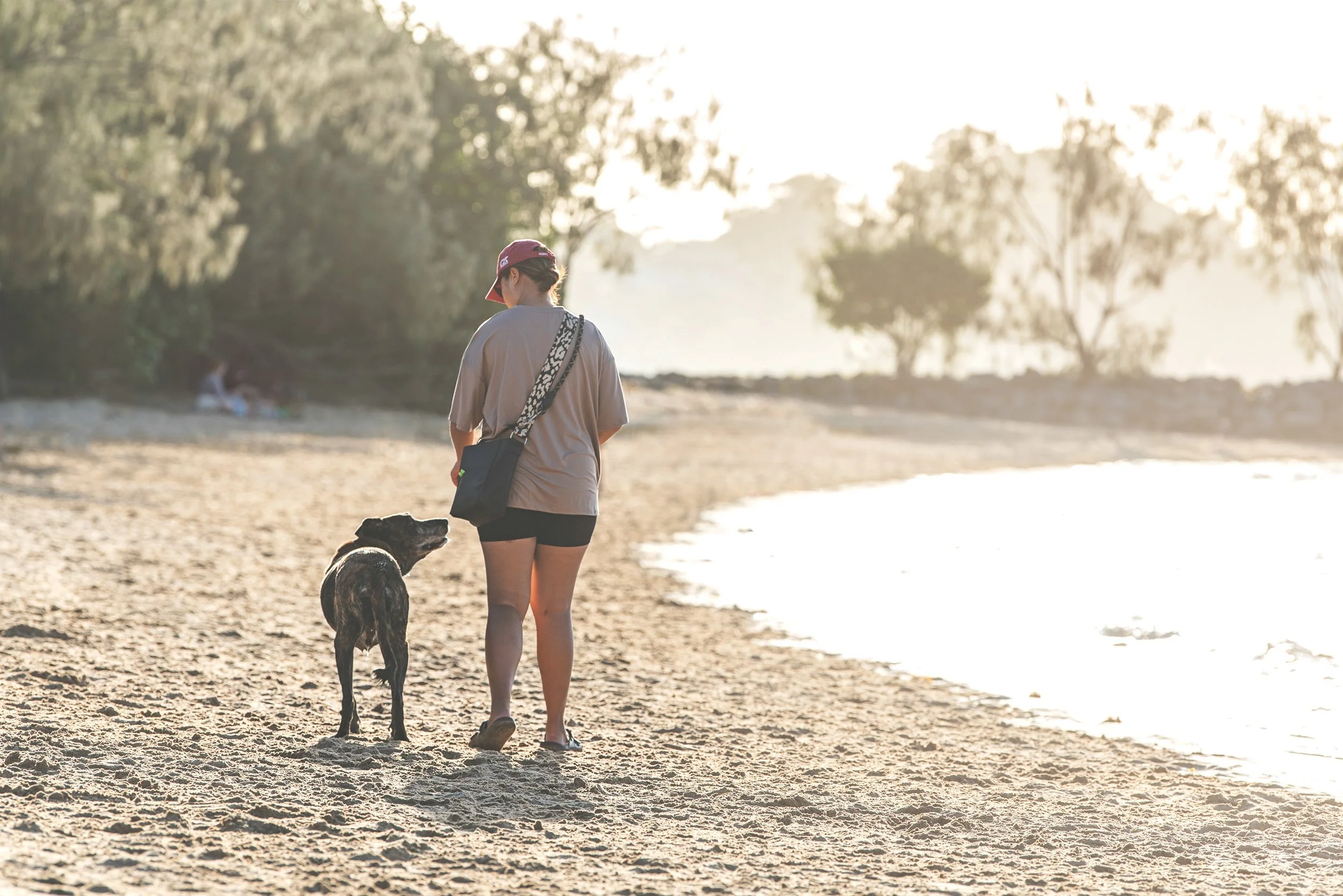 Gold Coast pet photography session celebrates the deep connection between dogs and their owners. PHOTO BY PAWTISTIC MEDIA