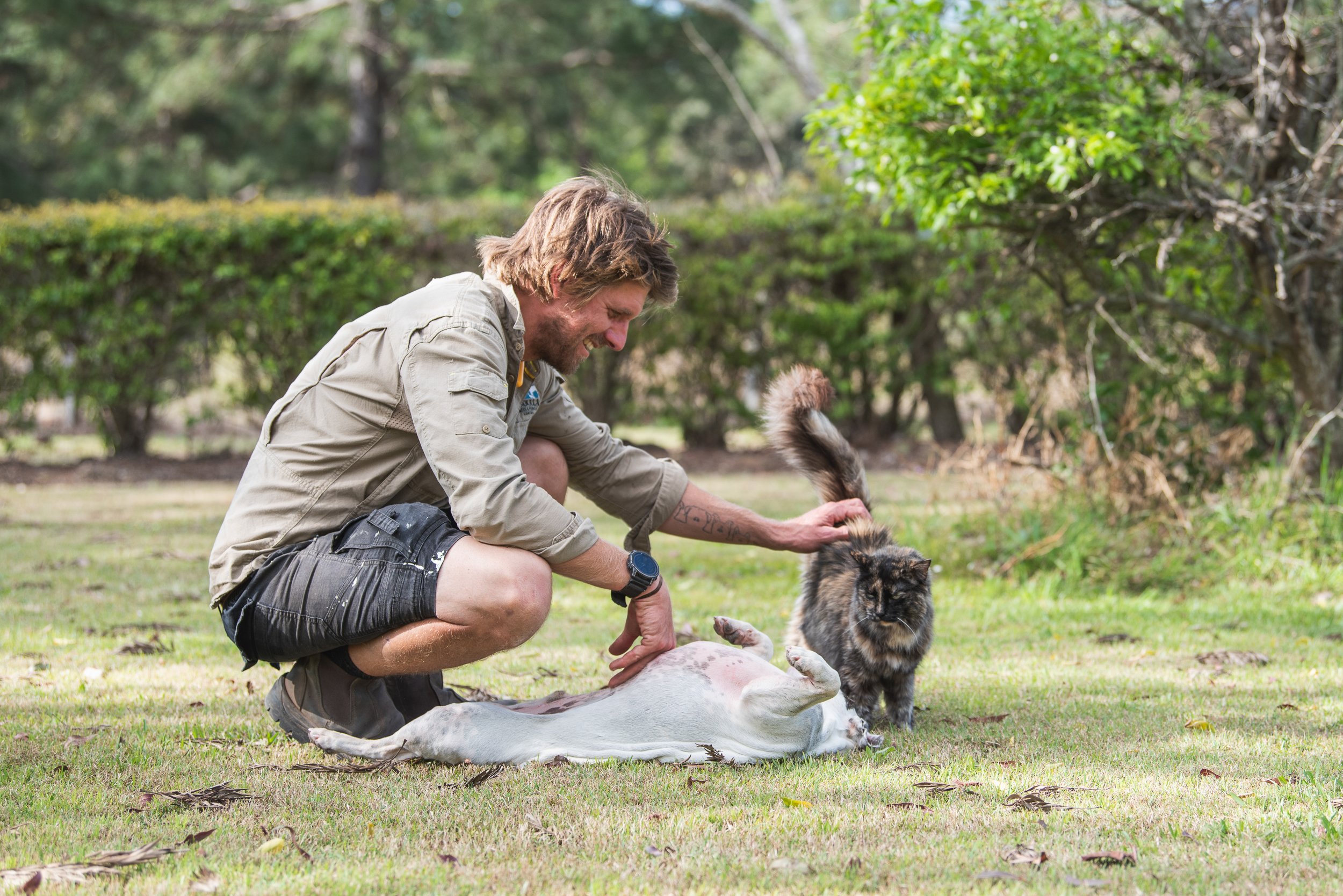 A joyful outdoor portrait of a man playing with his French Bulldog cross and senior cat on a sunny lawn. This lifestyle pet photography session captures genuine moments of love, fun and companionship. PHOTO BY PAWTISTIC MEDIA