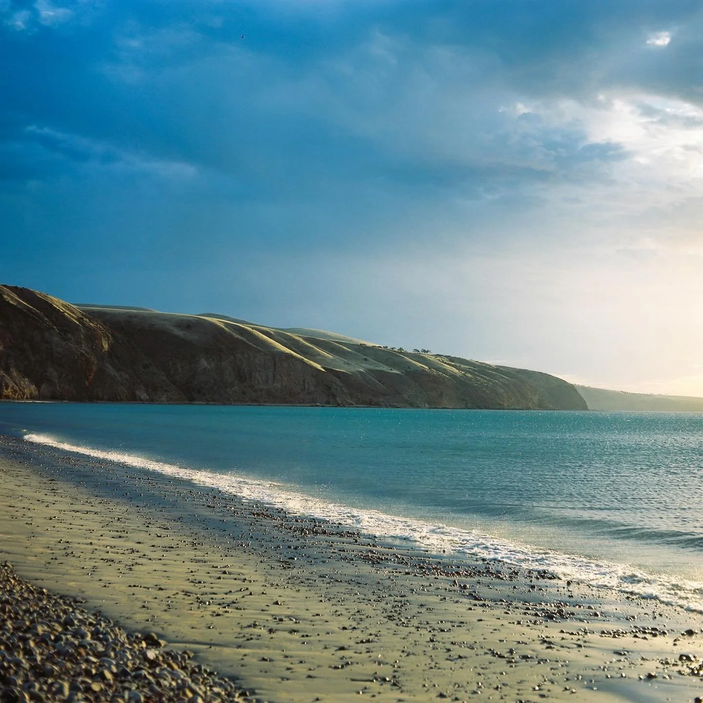 Medium format wanderings with the very best, @danbroadbent_ 

1) Sellicks softly
2) Swell
3) The apprentice
4) Press the button
5) The wrinkles, the skin
6) Hold your breath
7) Bloom