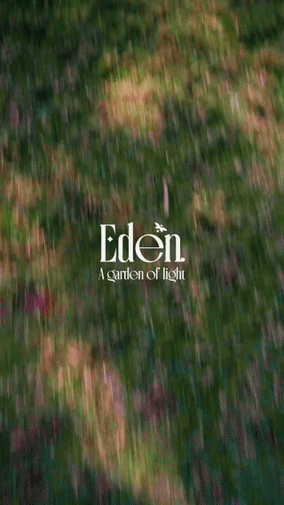 FIrefly4-ezgif.com-video-to-gif-converter.gif