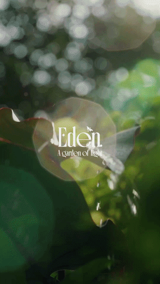 Firefly8a-ezgif.com-video-to-gif-converter.gif