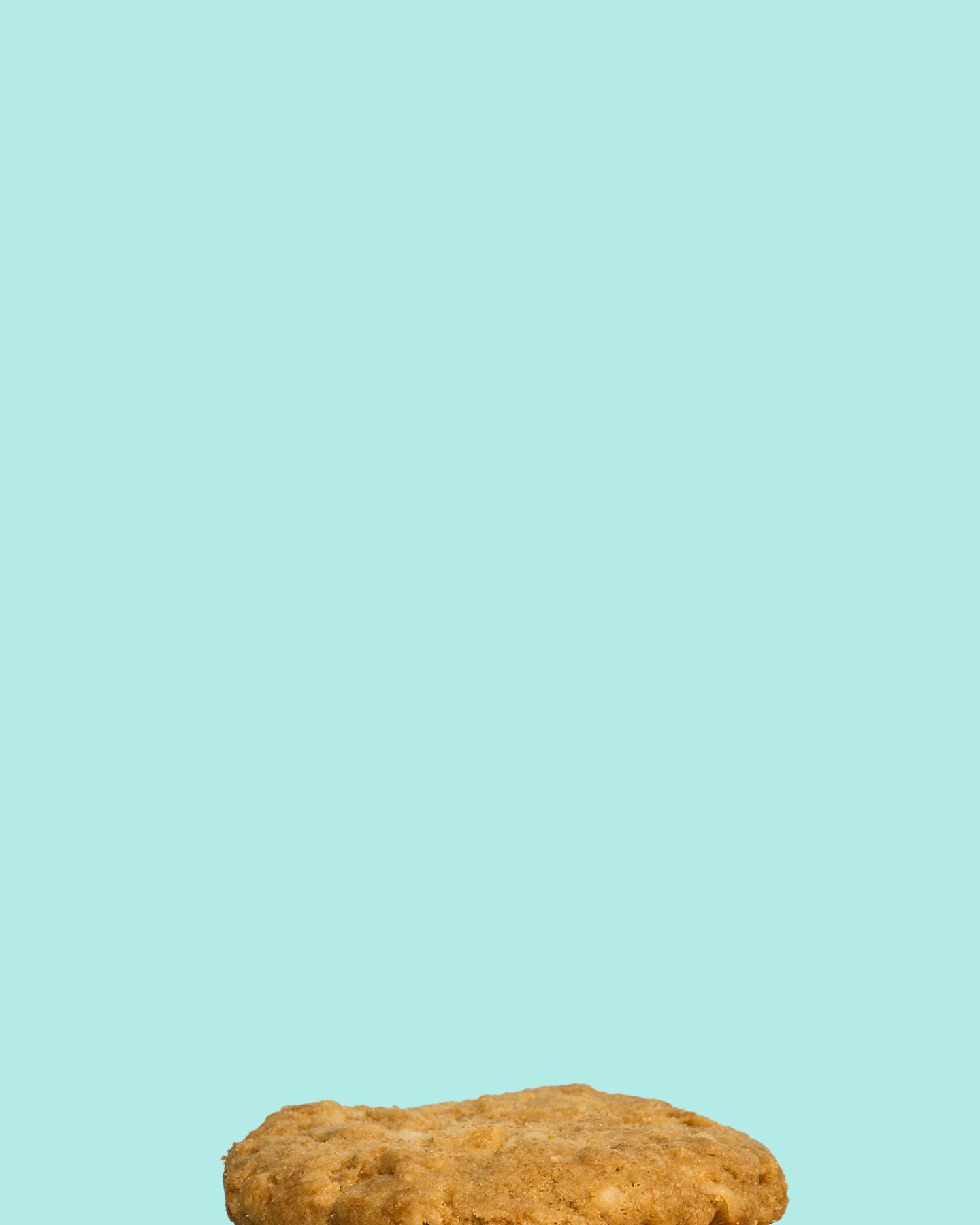 02 - Cookies_coconut.gif