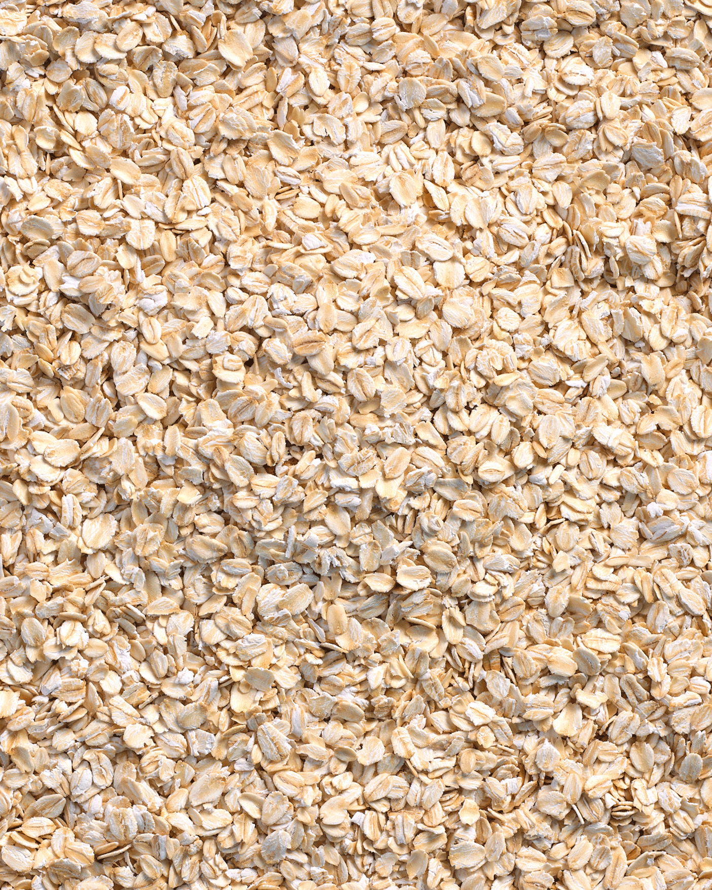 04---Oat-reveal.gif