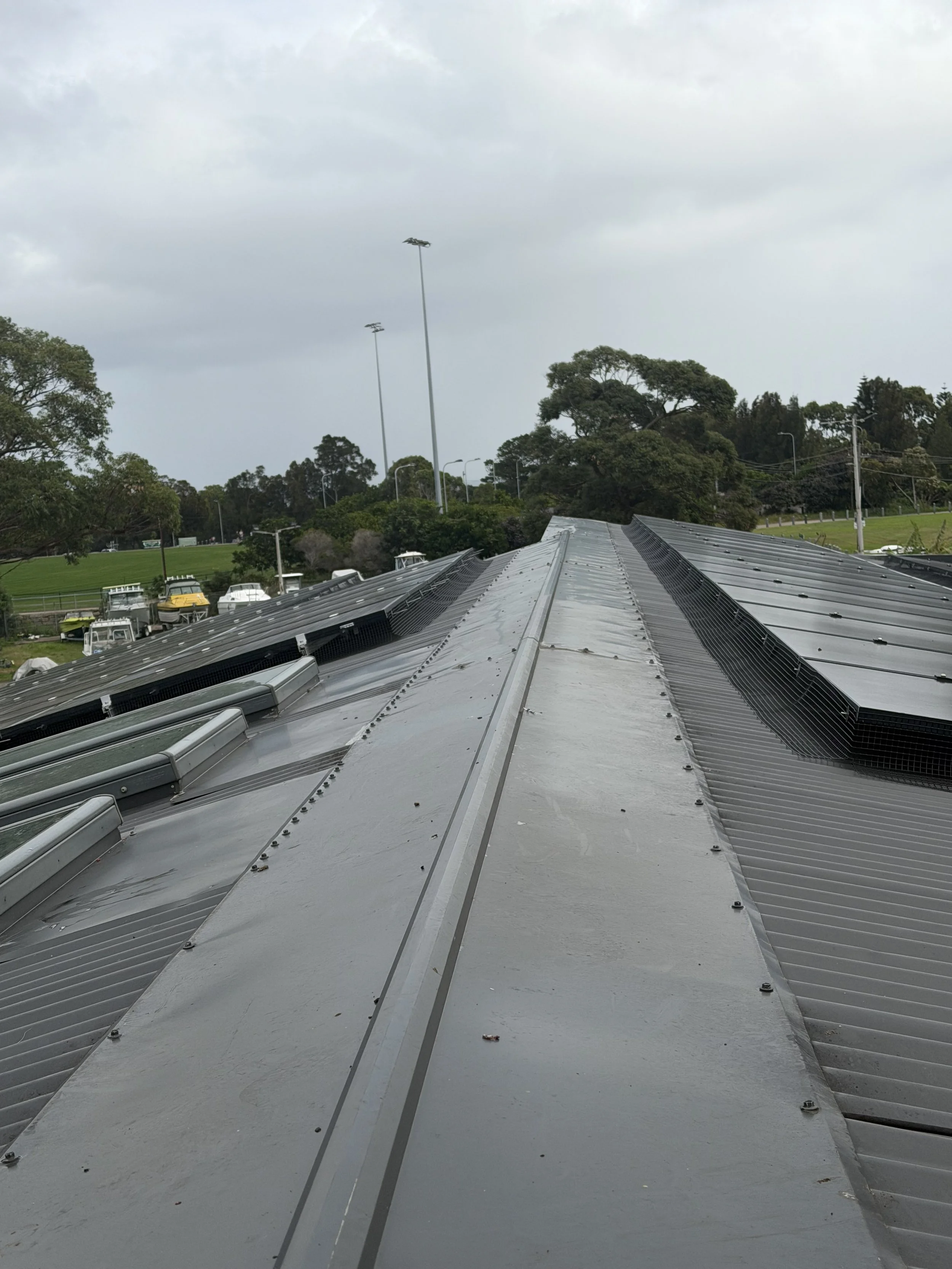 Solar Bird Mesh neatly installed around the perimeter on Colourbond, in Randwick City Council, Sydney, NSW.