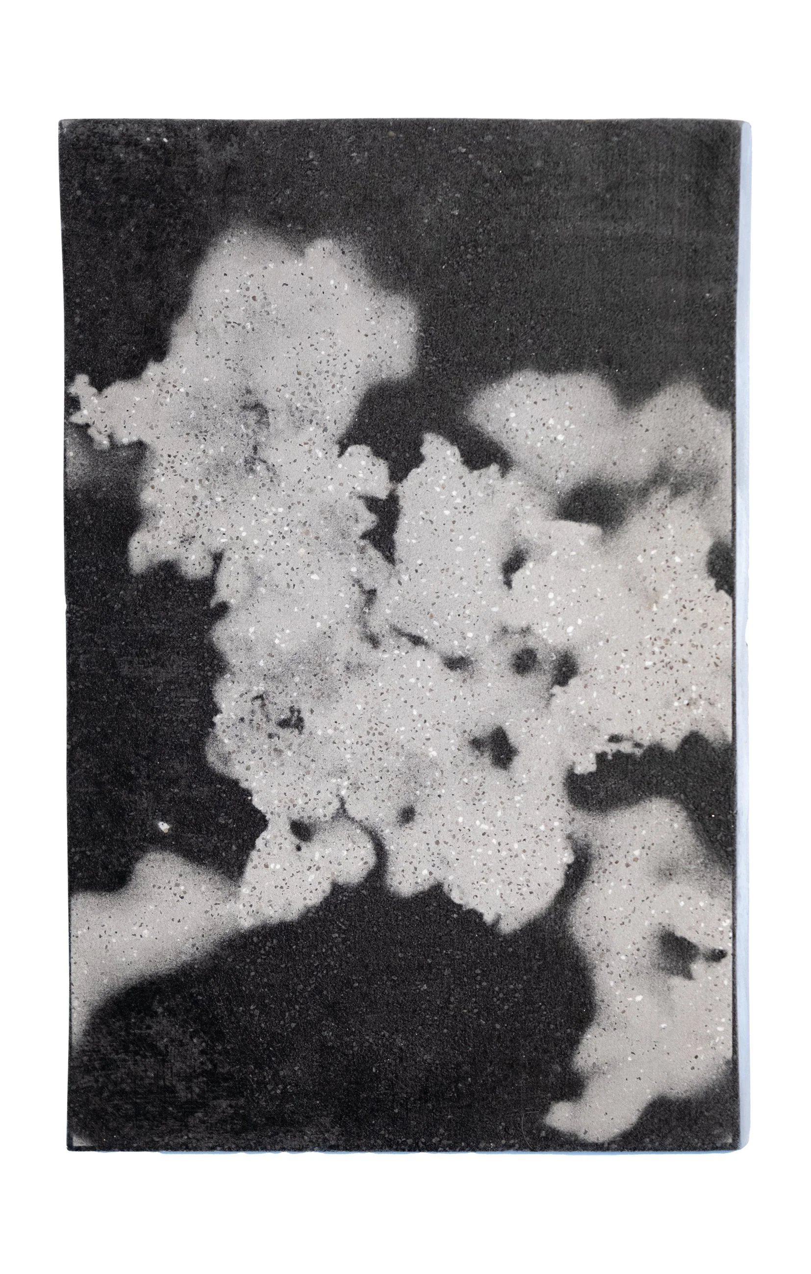 WHEN THE MYSTERIES EMERGE | Silver gelatin on concrete | Steel backplate | 15x23cm | Unique piece | 250€