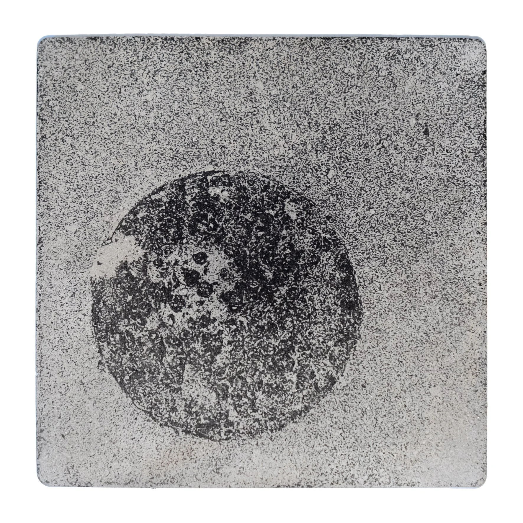 MARKS EVERY MOVE | Silver gelatin on concrete | Steel backplate | 18x18cm | Unique piece | Sold