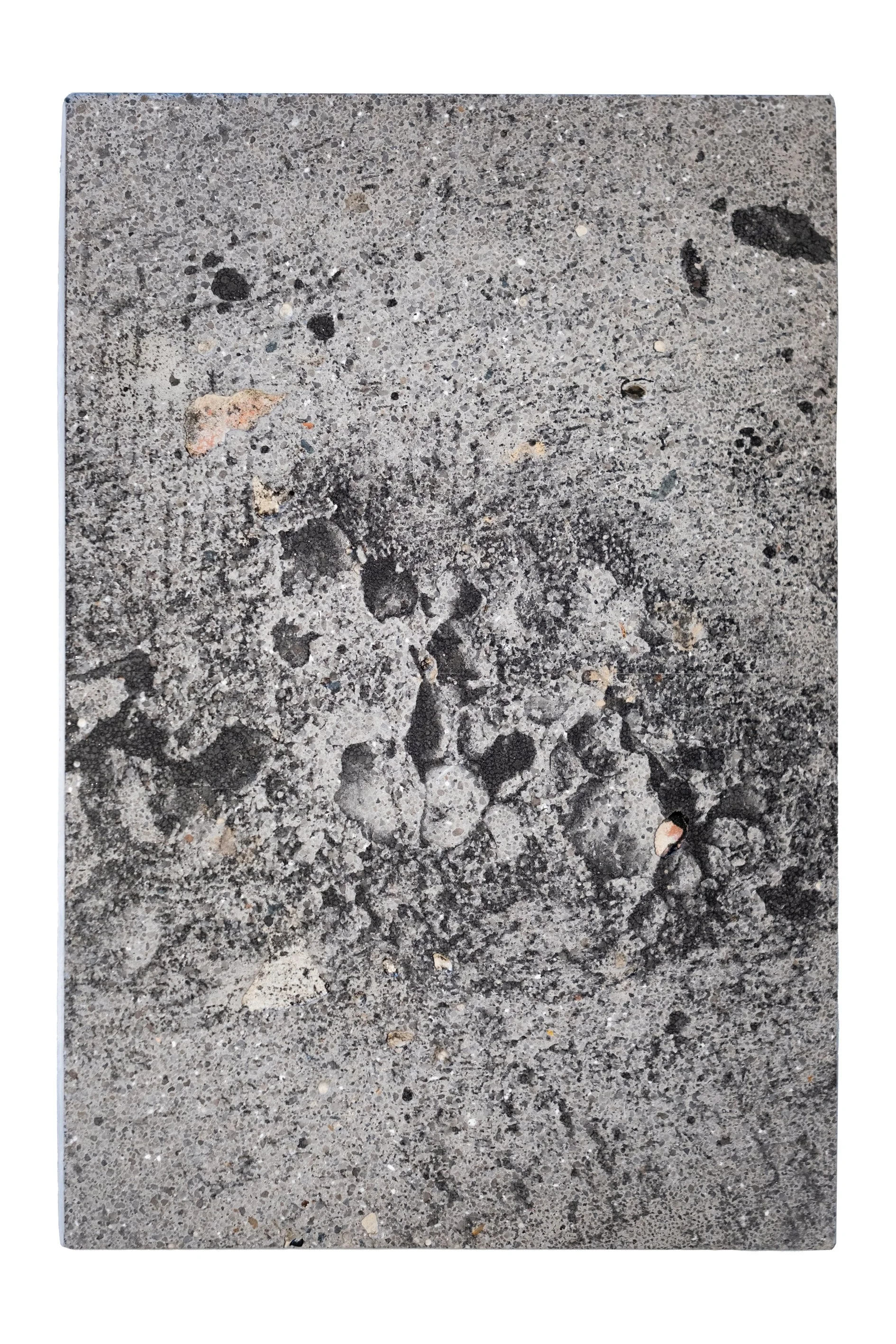 MARKS EVERY MOVE | Silver gelatin on concrete with additional coarse aggregate | Steel backplate | 20x30cm | Unique piece | 300€
