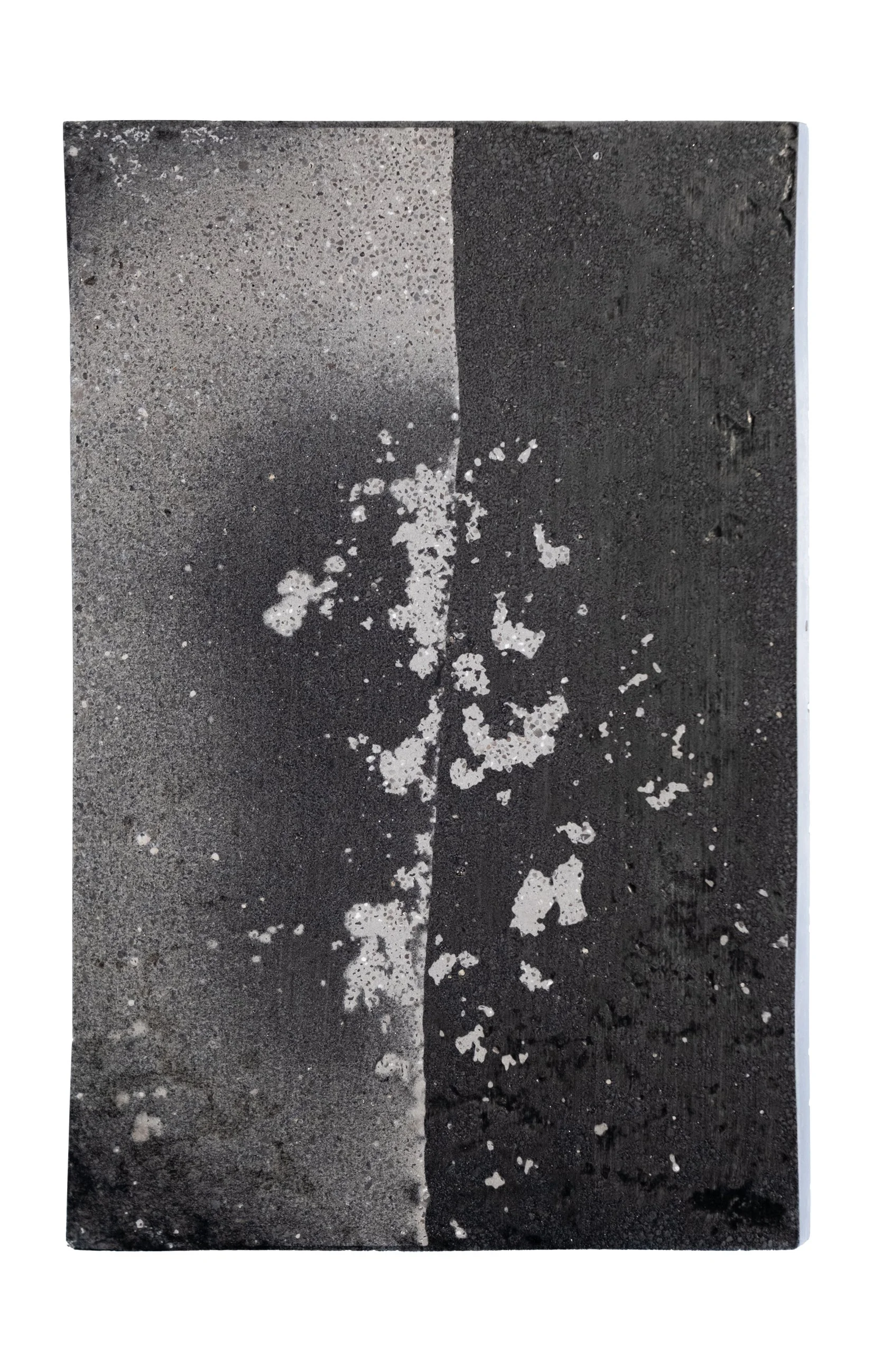 WHEN THE MYSTERIES EMERGE | Silver gelatin on concrete | Steel backplate | 15x23cm | Unique piece | 250€