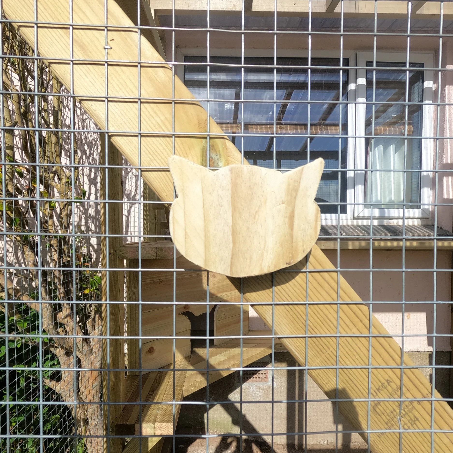 Signature Decorative Cat-Head