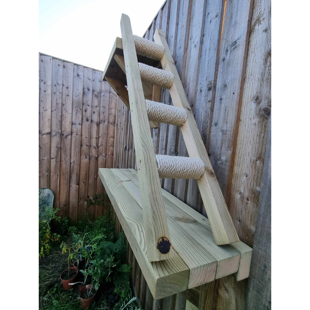 Untitled design (5).png