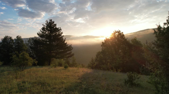 It All Began a Million Years Ago—It Feels Like