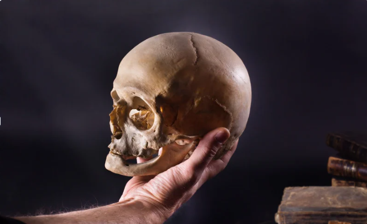 Meaning-Making, Music, and Words Help Us Survive Life’s Hardest Moments