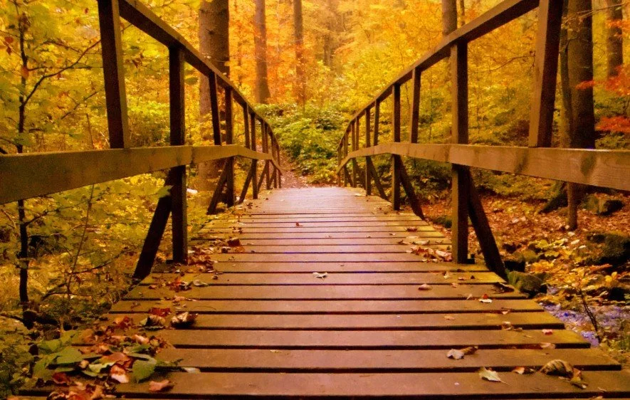 Can You Create Meaning After Suffering?