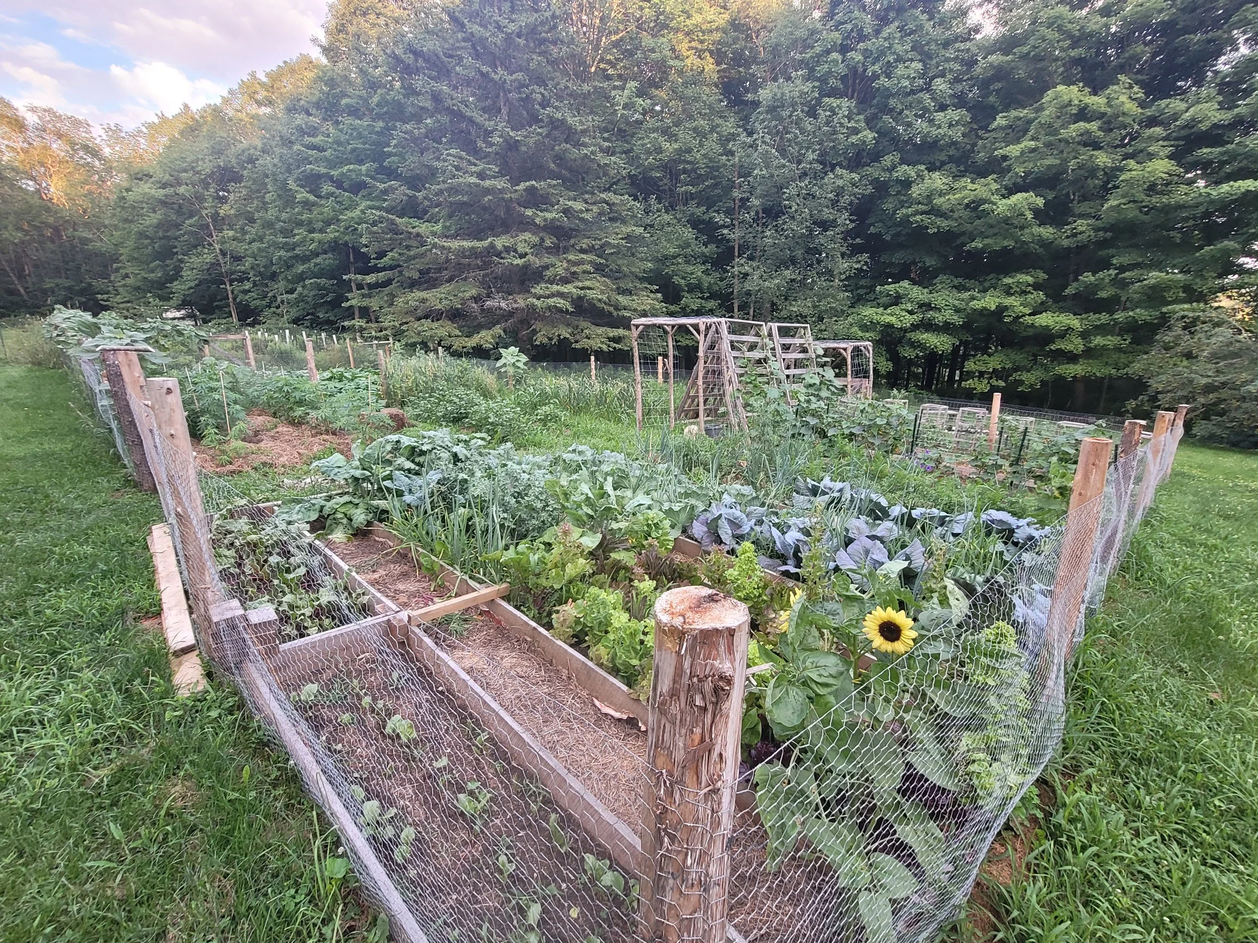 20240712_200402 (1).jpg