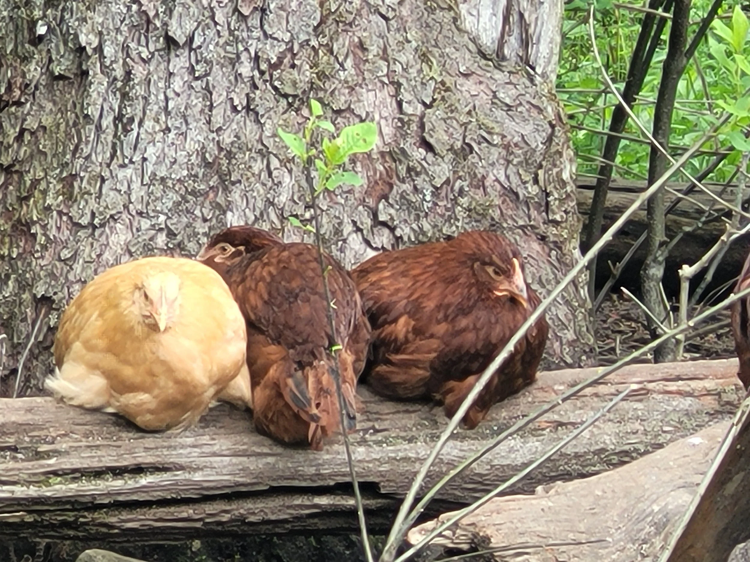 20240512_162356 (1).jpg