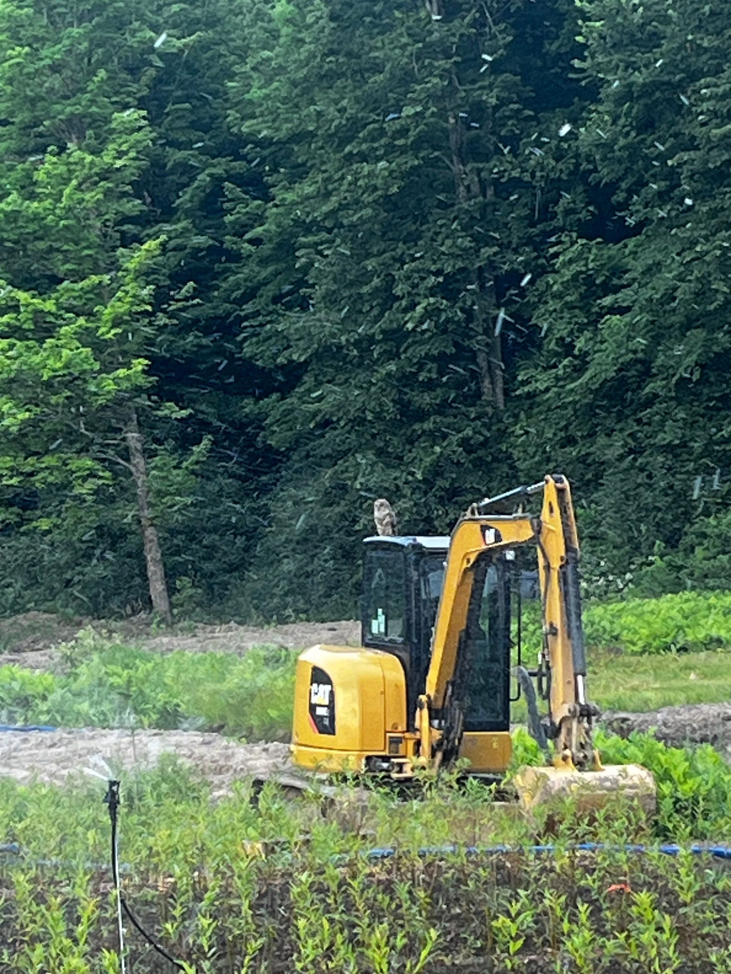 Untitled design (4).jpg