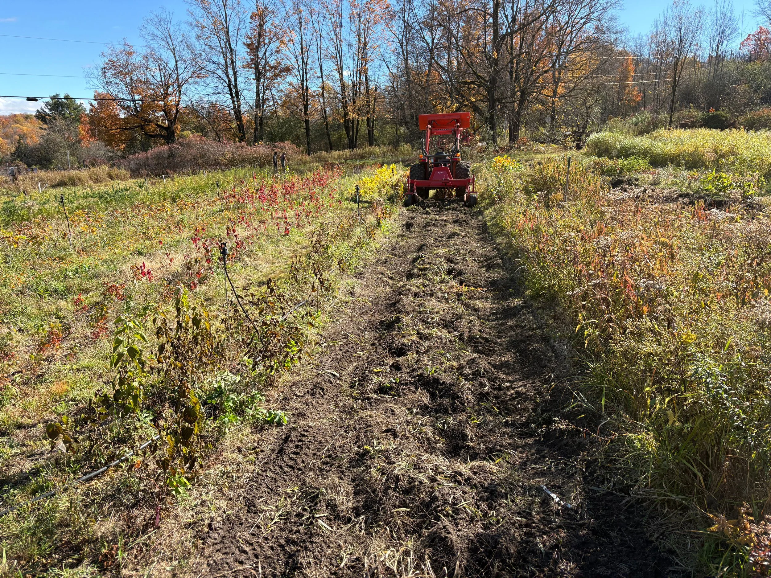 Untitled design (3).jpg