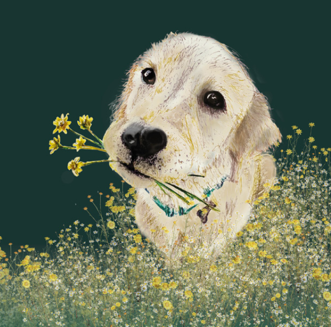 Raya flower dog.png