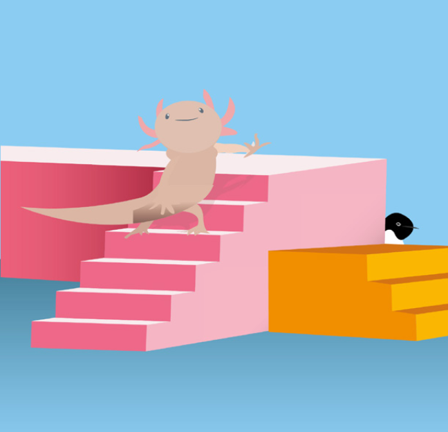 Axolotl.png