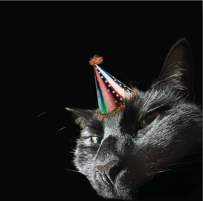 party cat.png