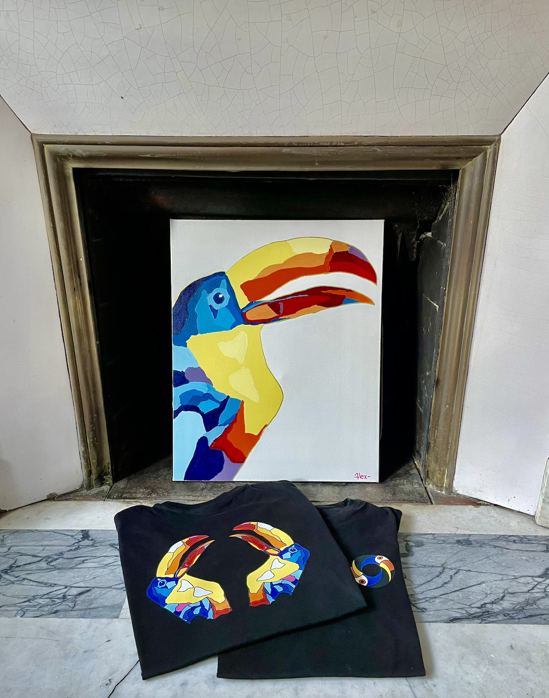 Tee Shirt Toucan