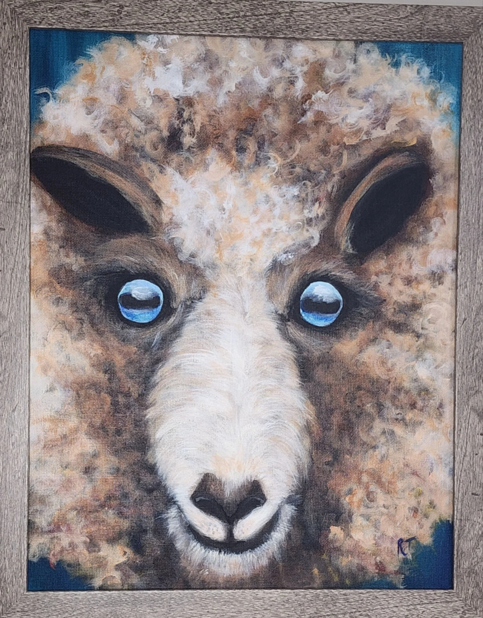 sheep