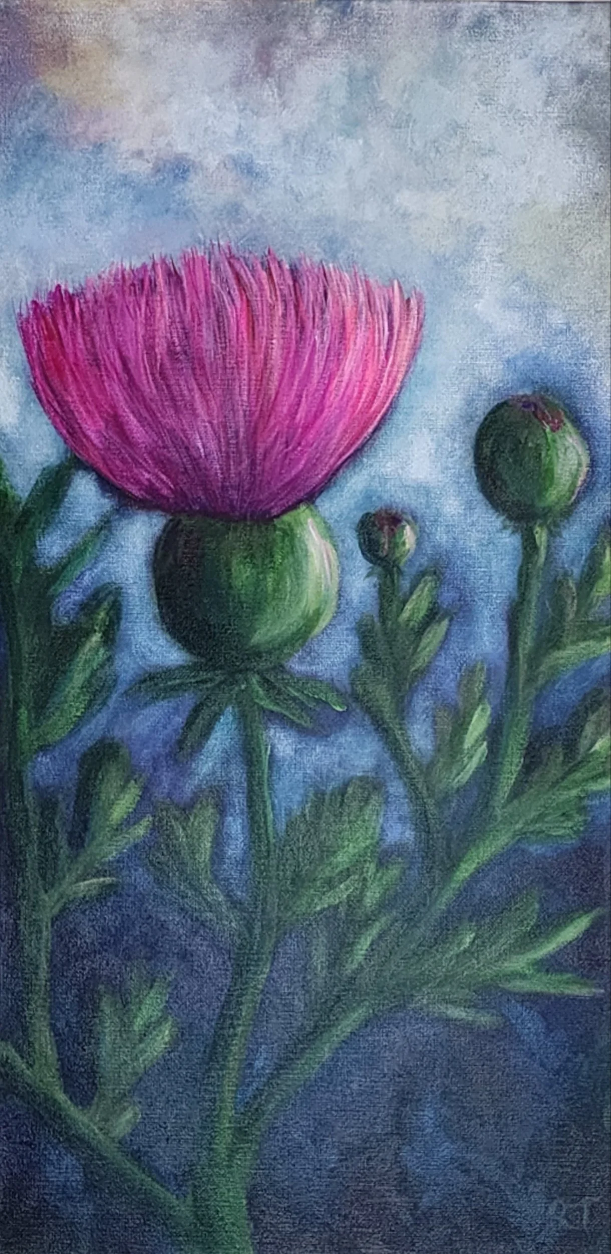 thistle