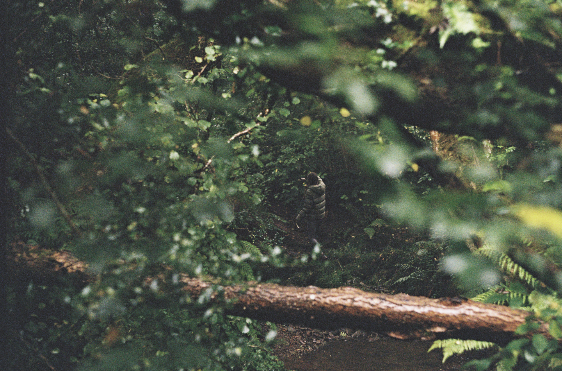 Screenshot 2025-08-25 at 20.53.50.png