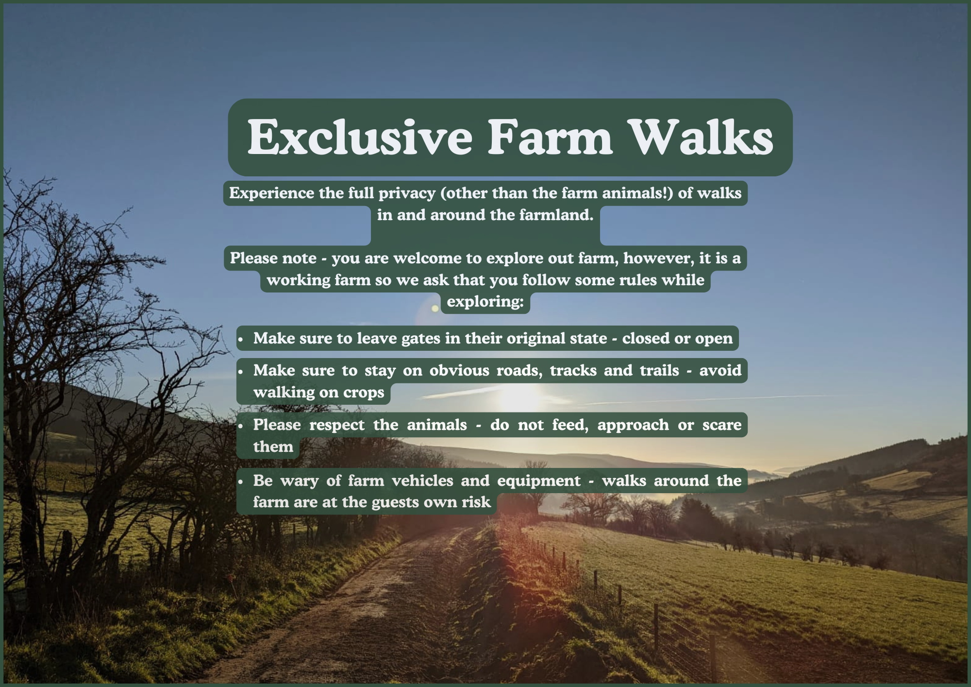 Exclusive Farm Walks.png