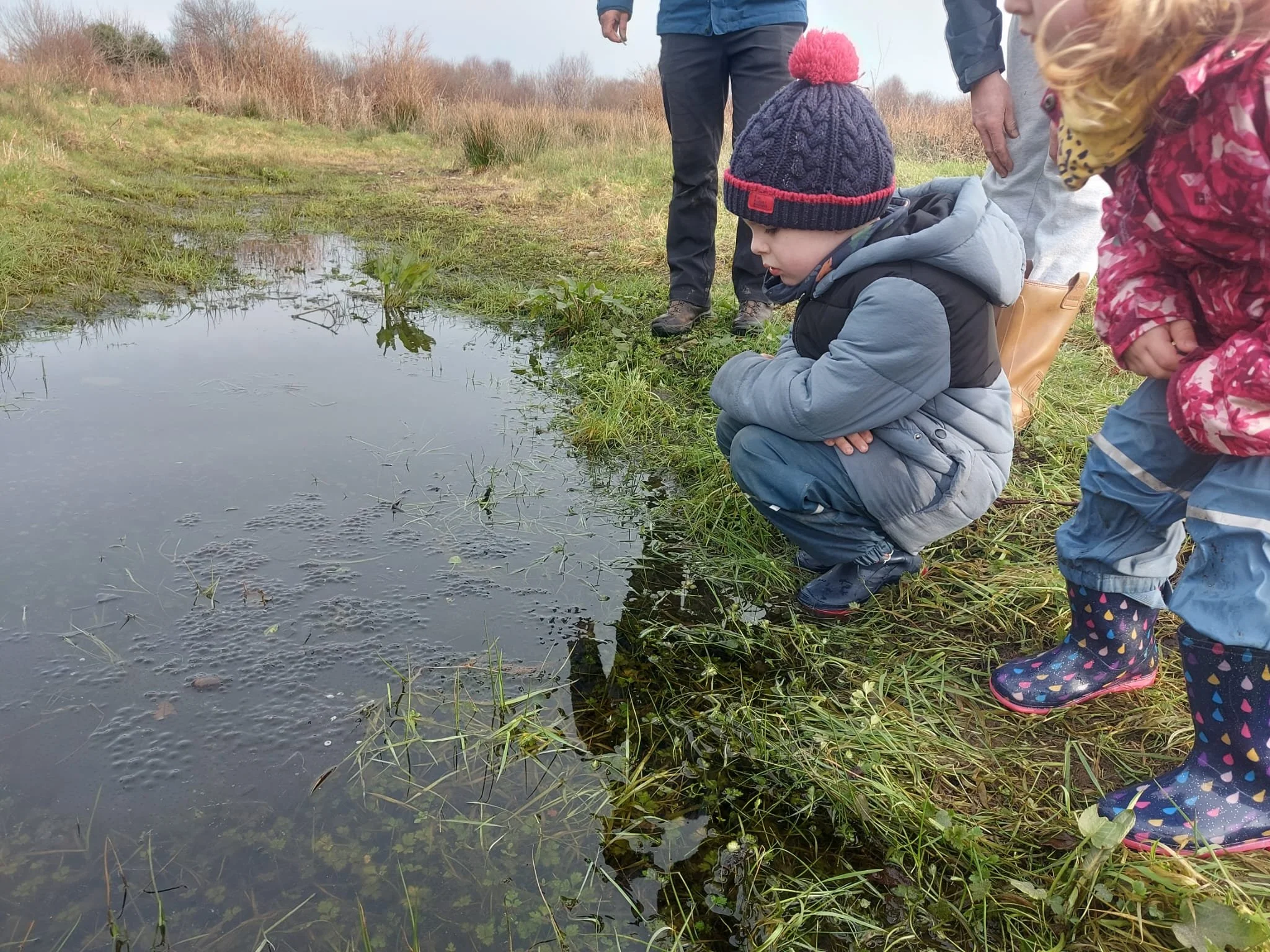 Ponds - lots of learnings