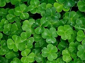 First Visit to Bin Lucky