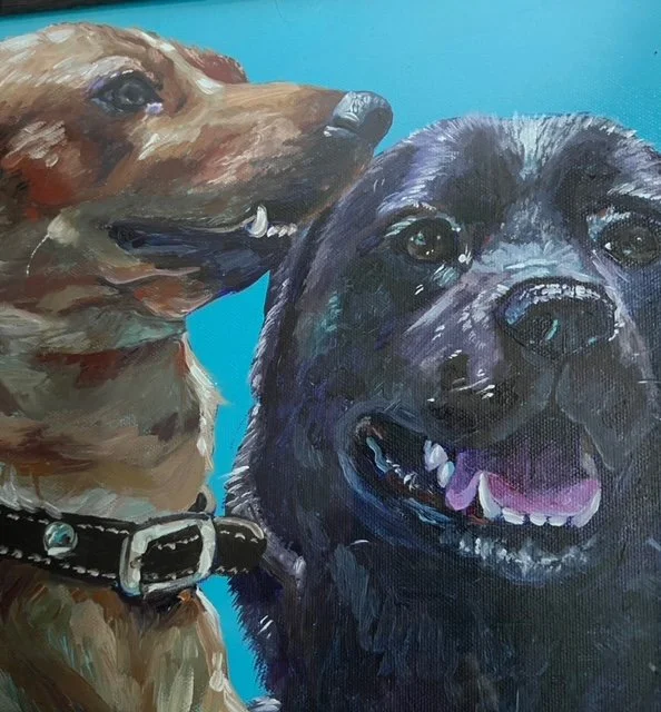 Adventure #22 : Angie and Teddy